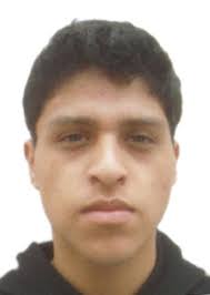 Propiedades de Otorongos Elecciones 2022