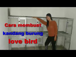 Lovebird kesayangan kamu akan tetap sehat, tenang, dan tidak mudah stress. Cara Membuat Kandang Burung Love Bird Youtube