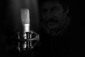 Voice Actor Stephan Weyte