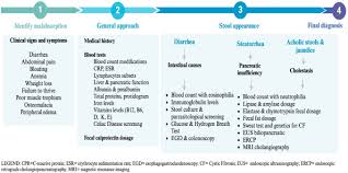 Image result for acholic stools human
