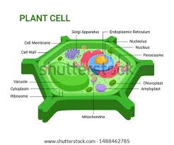 Maybe you would like to learn more about one of these? Shutterstock Puzzlepix