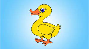 And same goes for the bill. How To Draw A Cartoon Duck Step By Step For Kids Youtube