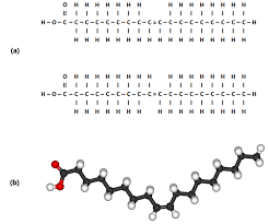 Image result for Fatty Acid