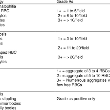 Red Blood Cell Morphology Grading Chart Download Table