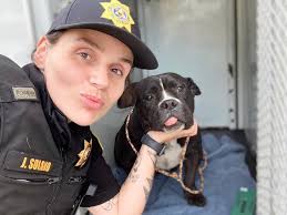 Alfredo at Old Louisville Rd location