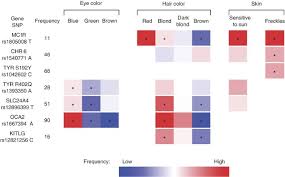 Red hair and blue eyes are both recessive traits which means a person needs to inherit both of the genes for red hair and blue eyes, from both parents. Genetic Determinants Of Hair Eye And Skin Pigmentation In Europeans Nature Genetics