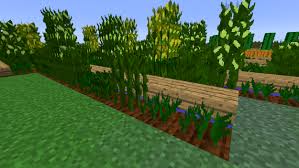 Biomes O Plenty Seeds 1 12 2 Pin By Abby Miller On Mods Corn Golf Courses Minecraft