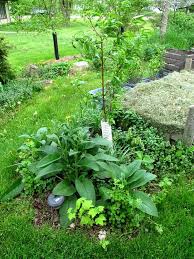 Front Yard Rain Garden And Berm Midwest Permaculture Permaculture Gardening Permaculture Permaculture Design