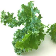 Moringa Vs Kale Nutritional Comparison