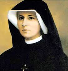 The Holy Year of Mercy Begins!