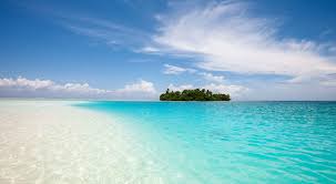 Filmed while visiting palmyra atoll on nordhavn 52 dirona. Palmyra 175 Years Of Science