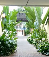 Pin By Rachmad Setyo On Walk With Me Tropical Garden Design Tropical Landscape Design Courtyard Gardens Design