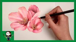 Check out our pencil trees drawing selection for the very best in unique or custom, handmade pieces from our shops. Drawing Cherry Blossom With Colored Pencils Youtube