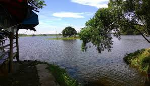 We did not find results for: 7 Tempat Mancing Di Bekasi Yang Menarik Tempat Berwisata Murah Dot Com