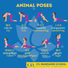 The ancient practice types of yoga asanas provide a wide range of mind and body benefits, including other benefits like giving strength and flexibility, stress relief and even cure many diseases. Yoga In Chinese 89 Words To Become An Expert Yogi