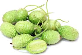 Image result for Cucumis anguria