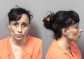 Citrus County Mugshots Dec. 11, 2017