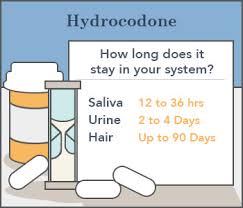 How Long Do Opiates Stay In Your System Oxycodone Hydrocodone