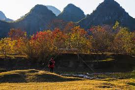 Muzika musim luruh promises to be bigger than ever this year. Musim Luruh Guilin Seperti Musim Luruh Gambar Unduh Gratis Imej 500795475 Format Jpg My Lovepik Com
