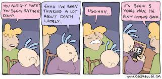 Yin And Yang Were Right There Is No Life Without Death Imgur
