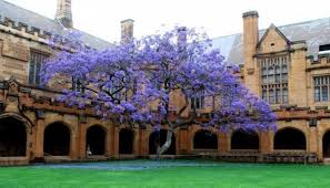 Les Plus Beaux Arbres Du Monde 17 Photos Grandioses Avec Images Arbre Jardins Du Monde Les Plus Beaux Jardins