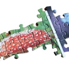 We are featuring daily puzzle, with hiscore system and even the option to upload your own images. The New Jig Zone The Best Free Online Jigsaw Puzzles Games