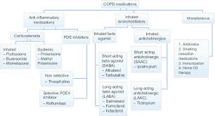Image result for Medications in COPD Management