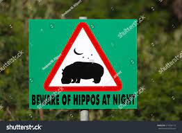 Beware Hippos Night Warning Sign South Stock Photo 214355113 | Shutterstock