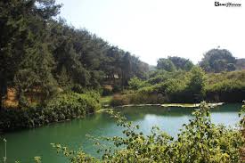 اللجون قرية من قرى ام الفحم وتتبع محافظة جنين تقع اللجون على الروابي المحيطة بوادي اللجون بين مرج ابن عامر وجبل الكرمل palestine history palestine holy land