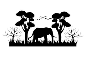 Download Pin On South Africa SVG Cut Files