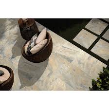 Image result for Aedesia