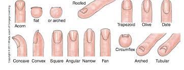 Nail Shape Chart Acrylic Nail Lengths Nail Shapes 2019 Chart