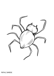 Disegni Di Ragni Da Stampare E Colorare Gratis Portale Bambini Spider Coloring Coloringpages Coloringinspiration Coloring Pages Animals Color
