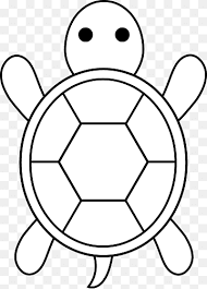 Itulah yang dapat kami bagikan terkait mewarnai gambar kura kura hitam putih. Kura Kura Laut Png Pngwing