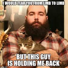 Cats Hold Me Back Memes Gifs Imgflip