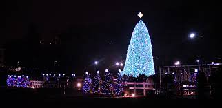 Where Is The National Christmas Tree From 2022 List Of Sources Of The National Christmas Tree (United States) - Wikipedia