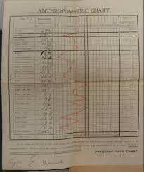 Measurement Card Anthropometric Chart Go Blue