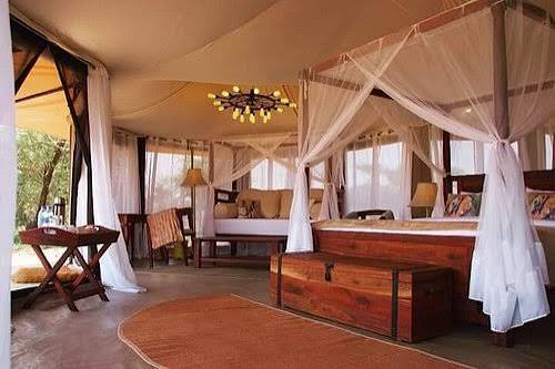 Sueños De Africa Luxury Camp Serengeti - Reviews & Photos