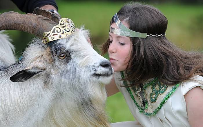 Puck Fair: A guide to Ireland's oldest festival in Co Kerry