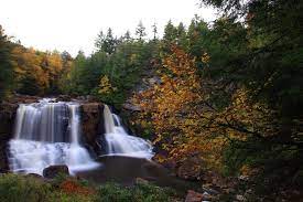 Tell you when the peak times are for various elevations and locations. West Virginia Fall Foliage 2020 Peak Dates Train Rides Cabins