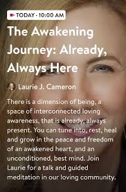 Laurie J. Cameron, Author and Founder of PurposeBlue‎