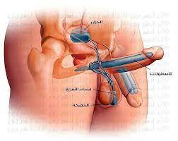 مضاعفات تركيب دعامه الذكر وكيفية القضاء عليها peace gesture okay gesture peace
