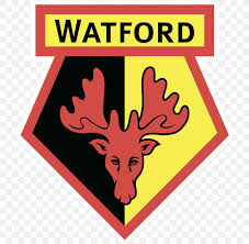 Also fa cup logo png available at png transparent variant. Watford F C Vicarage Road Premier League Fa Cup Football Png 800x800px Watford Fc Antler Area Brand