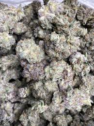 Ice Cream Cake Real Gas House