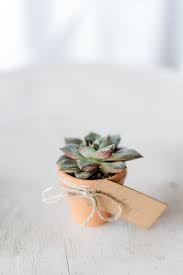 Der vorteil von tischkarten bei der hochzeit ist, dass ihr sitzplätze vorab festlegt. Aussergewohnliche Tischkarten Fur Die Hochzeit I Weddyplace