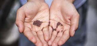 Are you an accredited investor who's interested in joining an angel group? What Is Seed Money And How To Find Angel Investors