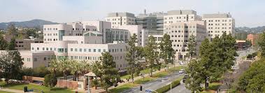 Kristofer jones of ucla department of sports medicine. Ucla Division Of Endocrinology Diabetes Metabolism Los Angeles Ca