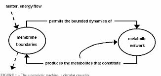 Critical remarks on life after ashby. Figure 1 From From Autopoiesis To Neurophenomenology Francisco Varela S Exploration Of The Biophysics Of Being Semantic Scholar