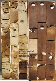 The Sequence Stratigraphy of the Maastrichtian (Upper Cretaceous) Reservoir  at Wafra Field, Partitioned Neutral Zone, Saudi Arab
