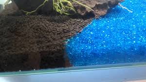 It may simply require further tightening. Glass Bead Fluval Stratum In Fluval Edge Aquarium Youtube
